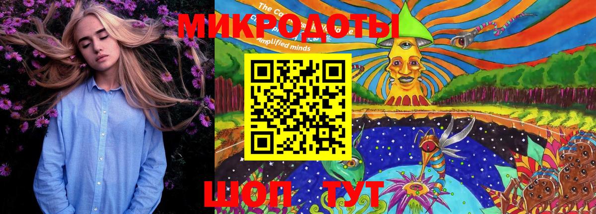 Сухой Лог  Псилоцибиновые грибы мухоморы  Вход с VPN  Галлюциногенные грибы MAGIC MUSHROOMS 