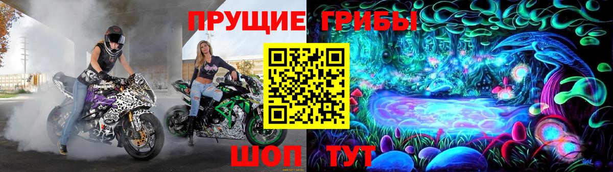 Галлюциногенные грибы мицелий Сухой Лог